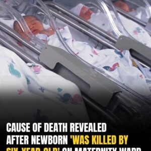 Newborn Dies After Six-Year-Old ‘Roaming’ Maternity Ward At French Hospital Newborn Dies After Six-Year-Old ‘Roaming’ Maternity Ward At French Hospital
