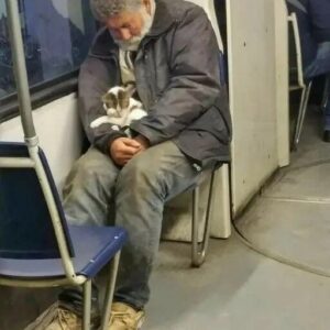 “Just Keeping Her Warm”: The Homeless Man Who Saved a Kitten – And How It Changed Three Lives Forever “Just Keeping Her Warm”: The Homeless Man Who Saved a Kitten – And How It Changed Three Lives Forever