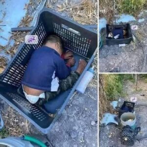 This approximately 2-year-old boy was found… See more This approximately 2-year-old boy was found… See more