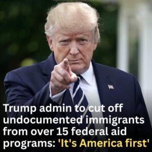 Trump admin to cut off undocumented immigrants from over 15 federal aid programs: ‘It’s America first’