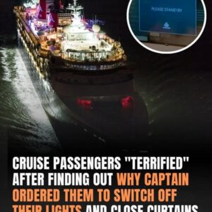 Cruise Ship Passengers Advised to Dim Lights While Sailing Sulu-Celebes Sea