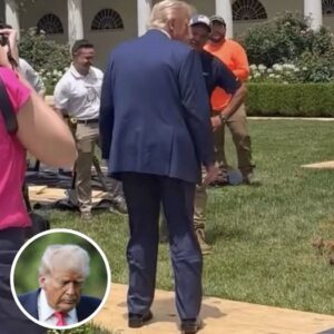 Viewers spot a tiny detail in Trump’s White House Rose Garden photo, causing a stir Viewers spot a tiny detail in Trump’s White House Rose Garden photo, causing a stir