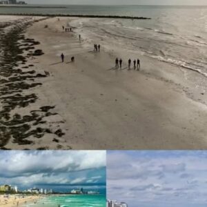 Deadly Waterborne Threat: Flesh‑Eating Bacteria Kills 4 Deadly Waterborne Threat: Flesh‑Eating Bacteria Kills 4