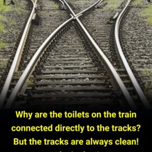 What’s the reason train toilets discharge directly onto the railway tracks? What’s the reason train toilets discharge directly onto the railway tracks?
