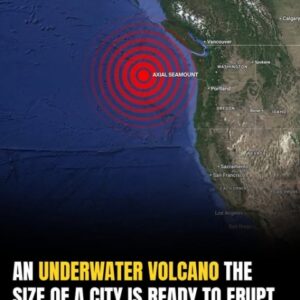 Pacific Northwest Faces Deep Sea Fury: Undersea Volcano Inches Toward Eruption Pacific Northwest Faces Deep Sea Fury: Undersea Volcano Inches Toward Eruption