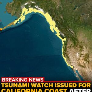 Tsunami alerts issued for West Coast after 8.8 magnitude earthquake strikes near Russia Tsunami alerts issued for West Coast after 8.8 magnitude earthquake strikes near Russia