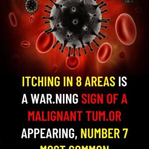Itching in These 8 Body Areas Could Be a Warning Sign of Cancer — Here’s What Seniors Need to Know Itching in These 8 Body Areas Could Be a Warning Sign of Cancer — Here’s What Seniors Need to Know