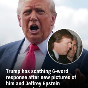 Trump fires back with 6 sharp words after Epstein photos resurface