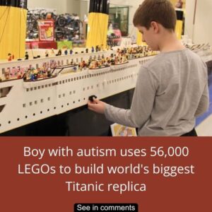 A boy with autism transformed his passion for ships into a 26-foot LEGO masterpiece A boy with autism transformed his passion for ships into a 26-foot LEGO masterpiece
