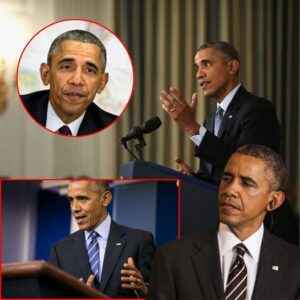 Senate Republicans push for special counsel in Obama-Russia election probe Senate Republicans push for special counsel in Obama-Russia election probe