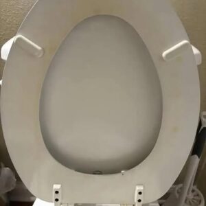 How I Got Rid of a Yellow Toilet Ring Without Replacing the Seat How I Got Rid of a Yellow Toilet Ring Without Replacing the Seat