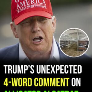 Trump makes a surprising and sarcastic comment about Alligator Alcatraz Trump makes a surprising and sarcastic comment about Alligator Alcatraz