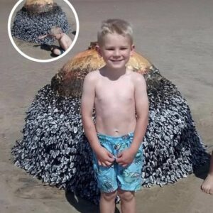 Dad Shares Innocent Photo Of His Son At Beach, Authorities Act Fast After Spotting Small Detail Dad Shares Innocent Photo Of His Son At Beach, Authorities Act Fast After Spotting Small Detail