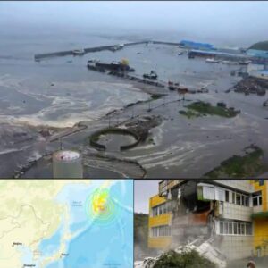 LATEST NEWS Alert: Powerful 8.8 magnitude earthquake shakes the city…See more LATEST NEWS Alert: Powerful 8.8 magnitude earthquake shakes the city…See more