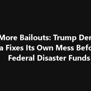 No More Bailouts: Trump Demands California Fixes Its Own Mess Before Getting Federal Disaster Funds No More Bailouts: Trump Demands California Fixes Its Own Mess Before Getting Federal Disaster Funds