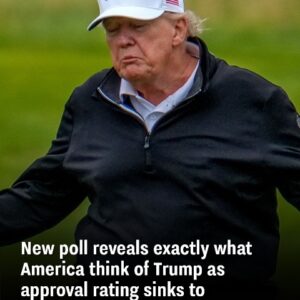 A new poll shows how Americans really feel about Trump as his approval rating hits a new low