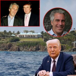 Donald Trump Says He ‘Never Had the Privilege’ to Go to Epstein’s Island Donald Trump Says He ‘Never Had the Privilege’ to Go to Epstein’s Island