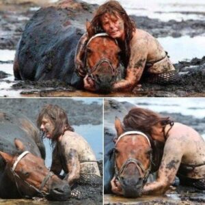 As her horse was drowning, this woman did the unthinkable As her horse was drowning, this woman did the unthinkable
