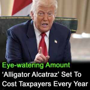 How much does Alligator Alcatraz cost taxpayers every year?