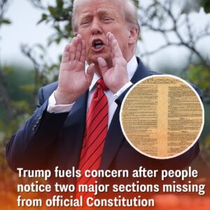 Trump stirs worry following the revelation that two major sections are missing from the official Constitution. Trump stirs worry following the revelation that two major sections are missing from the official Constitution.