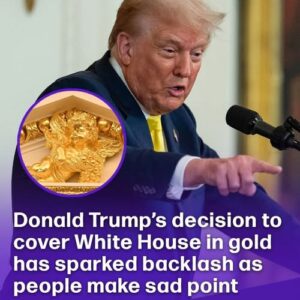 Trump Embarks on 0 Million White House Renovation