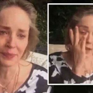 30 Minutes ago in Pennsylvania, Sharon Stone was confirmed as…See more 30 Minutes ago in Pennsylvania, Sharon Stone was confirmed as…See more