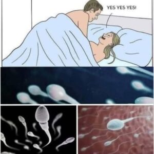 Surprising Study Findings About Intimate Health and Relationships