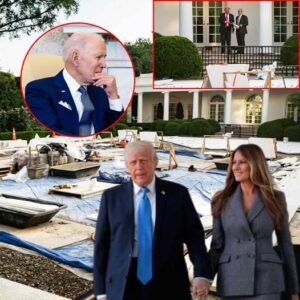 The White House Rose Garden Lawn Has Been Replaced: Check Out Donald and Melania’s Concrete Makeover