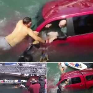 Good Samaritans Restored Faith In Humanity By Rescuing Drowning Elders And Their Pet Chihuahua Good Samaritans Restored Faith In Humanity By Rescuing Drowning Elders And Their Pet Chihuahua