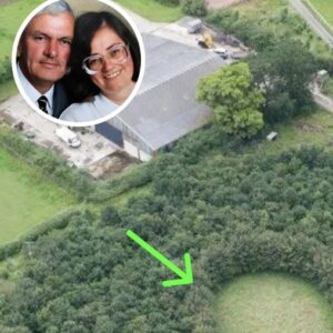 Husband Plants 6,000 Trees To Honor Deceased Wife, 15 Years Later Photos Reveal His True Motive