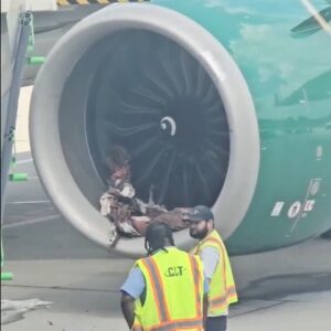 Frontier A320 Incident: Ground Equipment Sucked Into Engine Forces 9-Hour Delay