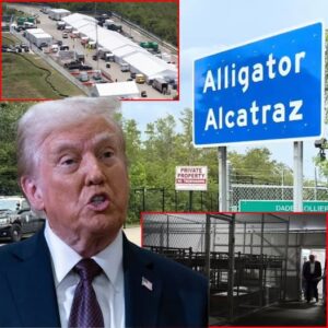 Judge blocks transfers to ‘Alligator Alcatraz,’ effectively winding down operations Judge blocks transfers to ‘Alligator Alcatraz,’ effectively winding down operations
