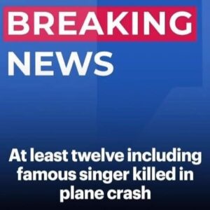 Twelve dead including famous singer in plane crash off remote island