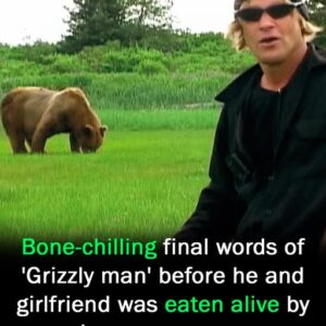 Final words of ‘Grizzly man’ before he was eaten alive Final words of ‘Grizzly man’ before he was eaten alive
