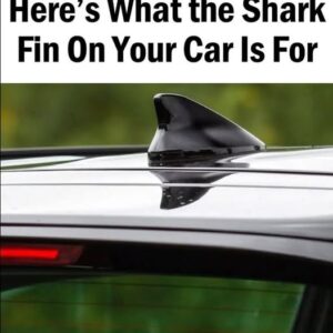 Why the Shark Fin on Your Car Isn’t Just for Looks: What You Need to Know