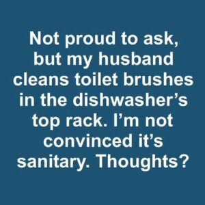 Can a toilet brush be washed in the dishwasher without risks?