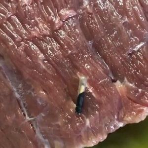 I TYPICALLY STICK TO ONE TRUSTED SUPERMARKET FOR BUYING MEAT I TYPICALLY STICK TO ONE TRUSTED SUPERMARKET FOR BUYING MEAT