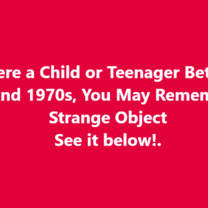 If You Were a Child or Teenager Between The 1950s And 1970s, You May Remember This Strange Object See it below!