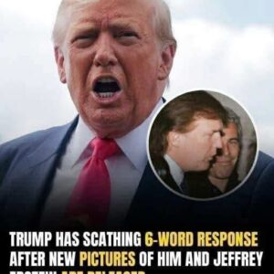 Trump fires back with blunt 6-word statement after Epstein photos resurface
