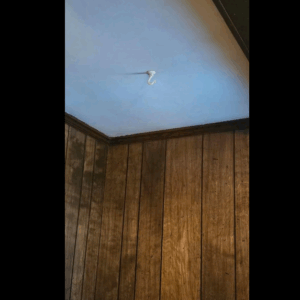 Revive Your Living Space With This Sensational Time-Travel Hack! Revive Your Living Space With This Sensational Time-Travel Hack!