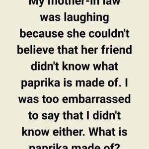 MY MOTHER-IN-LAW’S LAUGHTER UNCOVERED A SECRET I NEVER SAW COMING MY MOTHER-IN-LAW’S LAUGHTER UNCOVERED A SECRET I NEVER SAW COMING