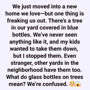 What We Discovered About the Glass Bottle Trees in Our Neighborhood