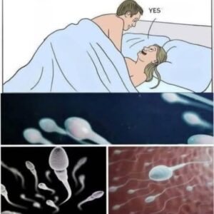 Studies reveal that swallowing your partner’s semen… Studies reveal that swallowing your partner’s semen…