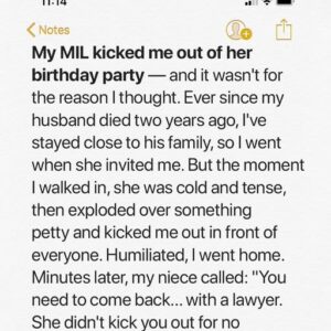 My MIL Kicked Me Out Of Her Birthday Party—But The Real Reason Took A Lawyer To Uncover