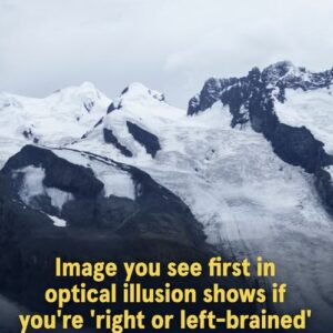 Baffling Optical Illusion Baffling Optical Illusion