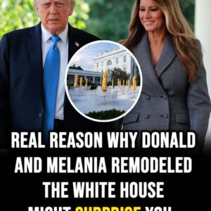 Real reason Donald and Melania Trump are ‘remodeling’ the White House