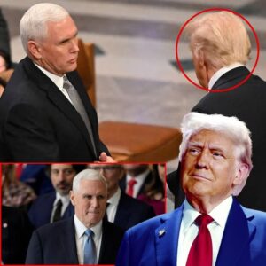 Pence Criticizes Trump: Uses a ‘Velvet Glove’ with Dictators When Tough Action Is Needed Pence Criticizes Trump: Uses a ‘Velvet Glove’ with Dictators When Tough Action Is Needed