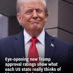 New Trump approval ratings reveal how every US state views him 8 months into his presidency
