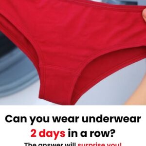 Why can a woman’s inti:ma:te organs smell bad? 4 reasons every woman should know. Why can a woman’s inti:ma:te organs smell bad? 4 reasons every woman should know.