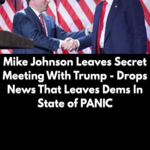 Johnson Responds to Trump’s Proposal for GOP Midterm Convention